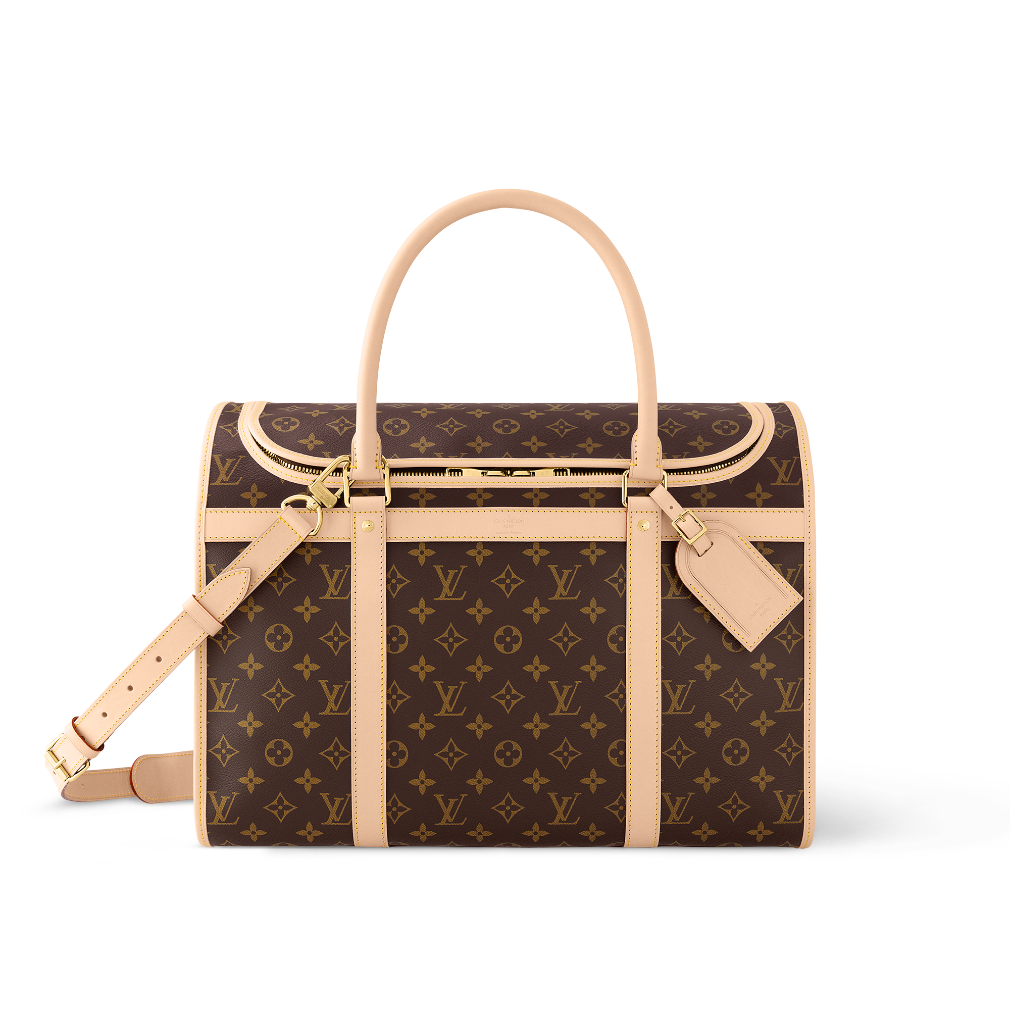 sac chien vuitton