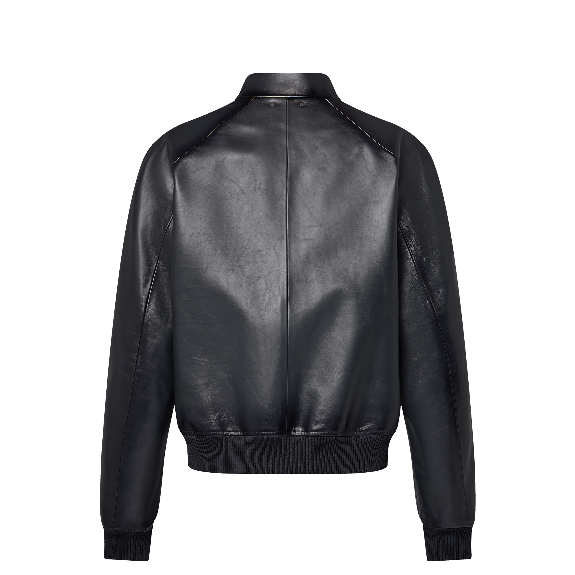 Blouson « Harrington » en cuir  Homme Prêt-à-porter Manteaux et blousons | LOUIS VUITTON (Zoom produit)