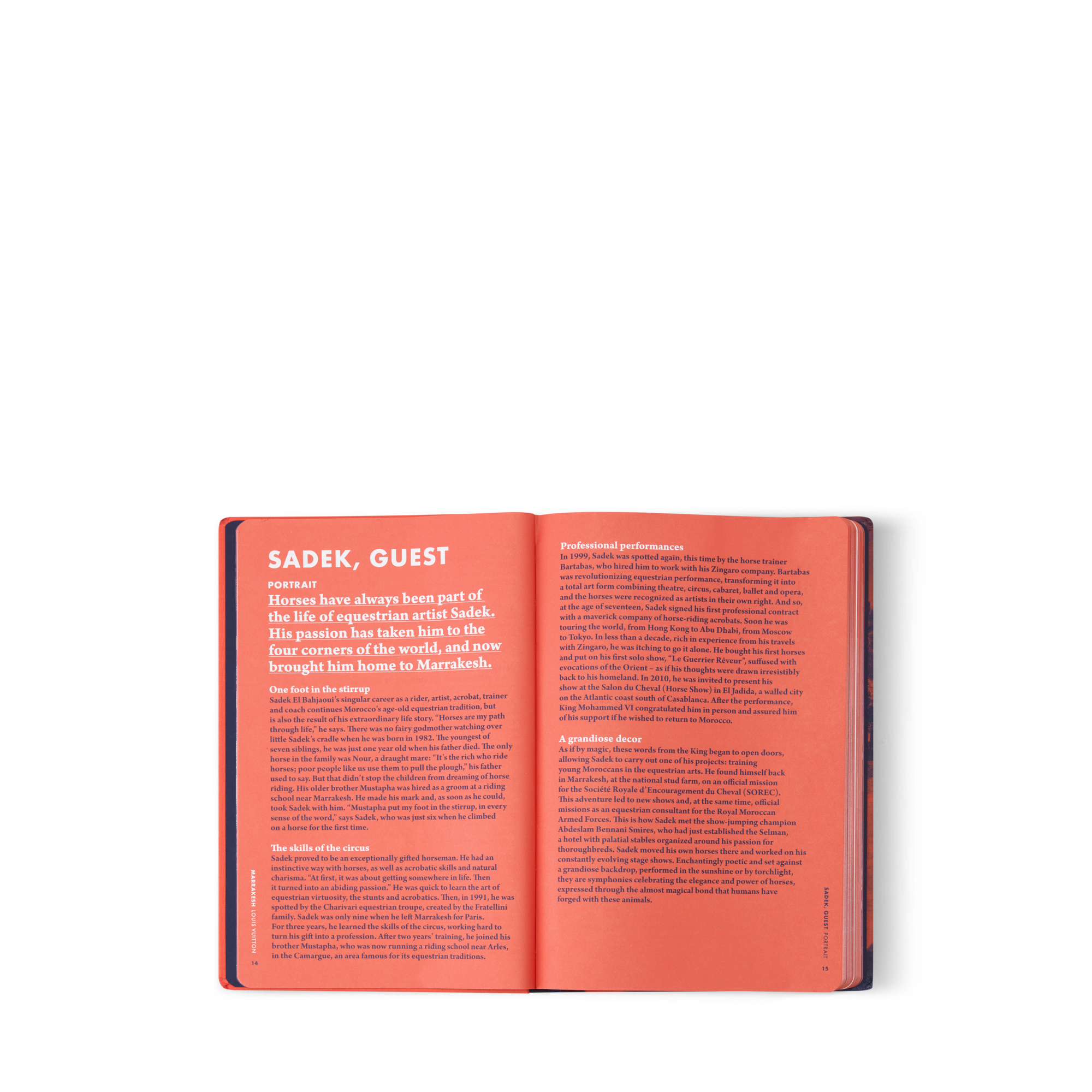 City Guide Marrakech  Malles, Voyage et Maison Livres City Guide | LOUIS VUITTON (Zoom produit)