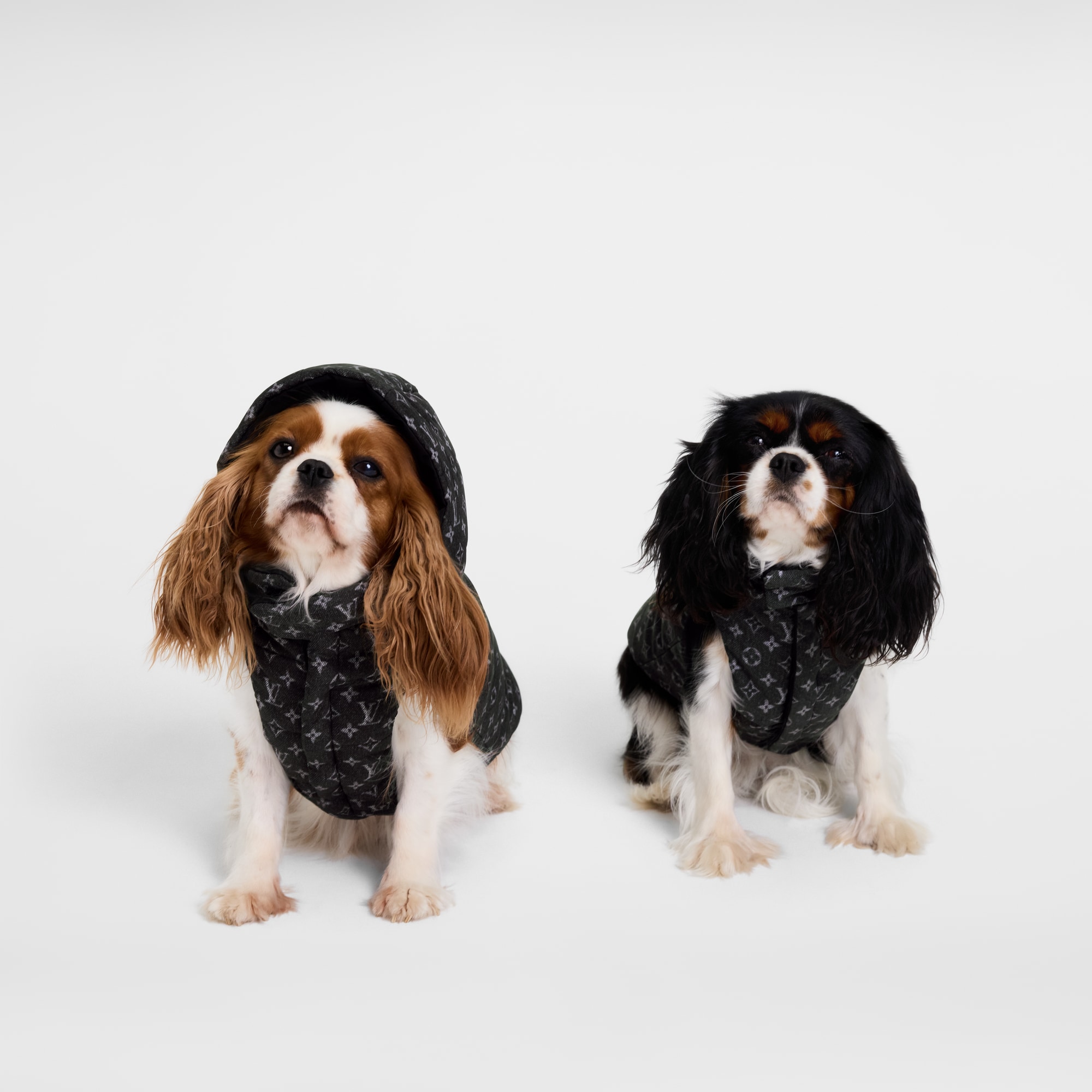 Doudoune pour chien XS S00 Malles, Voyage et Maison Accessoires pour Animaux de Compagnie } | LOUIS VUITTON (Zoom produit)