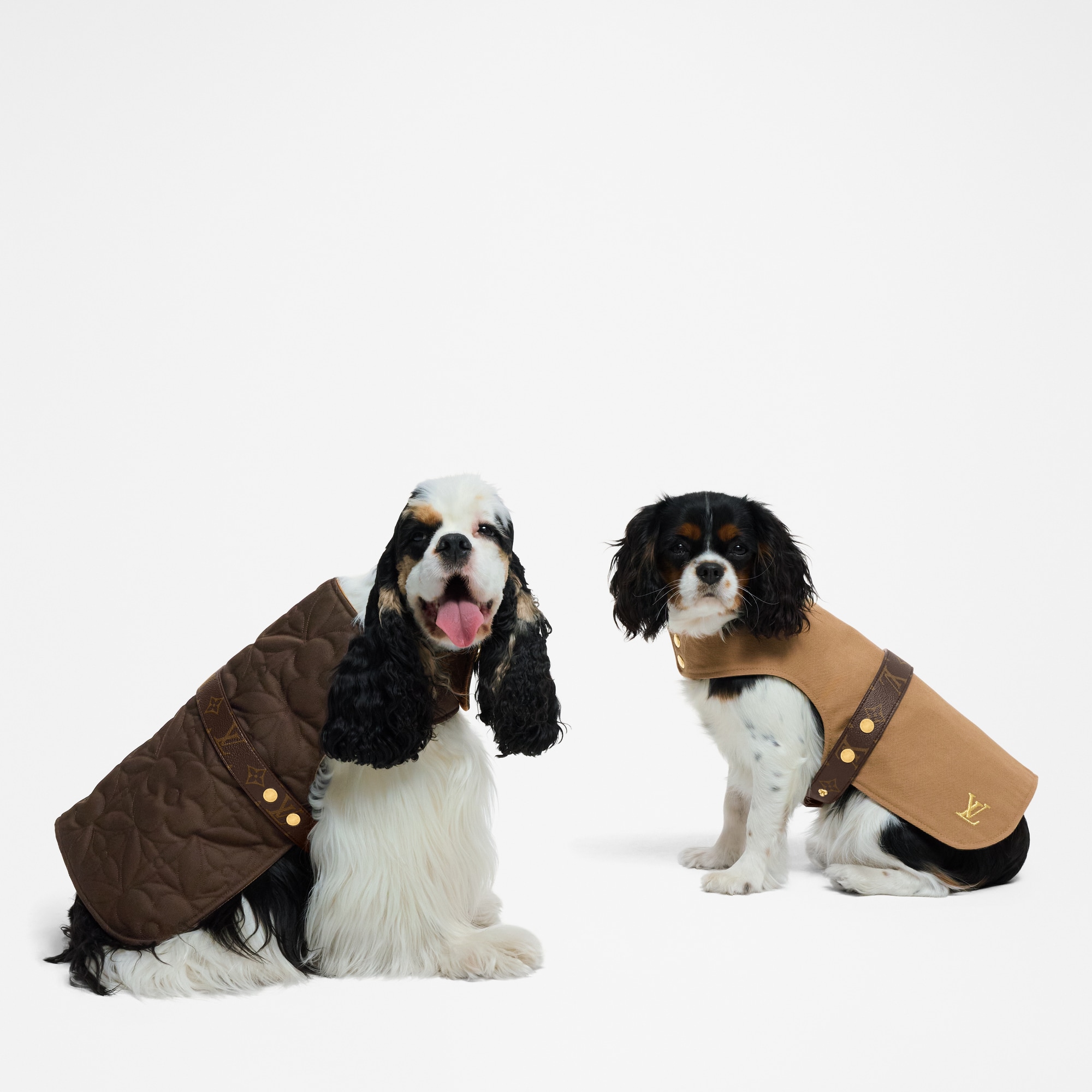 Manteau imperméable pour chien PM Accessoires pour Animaux de
