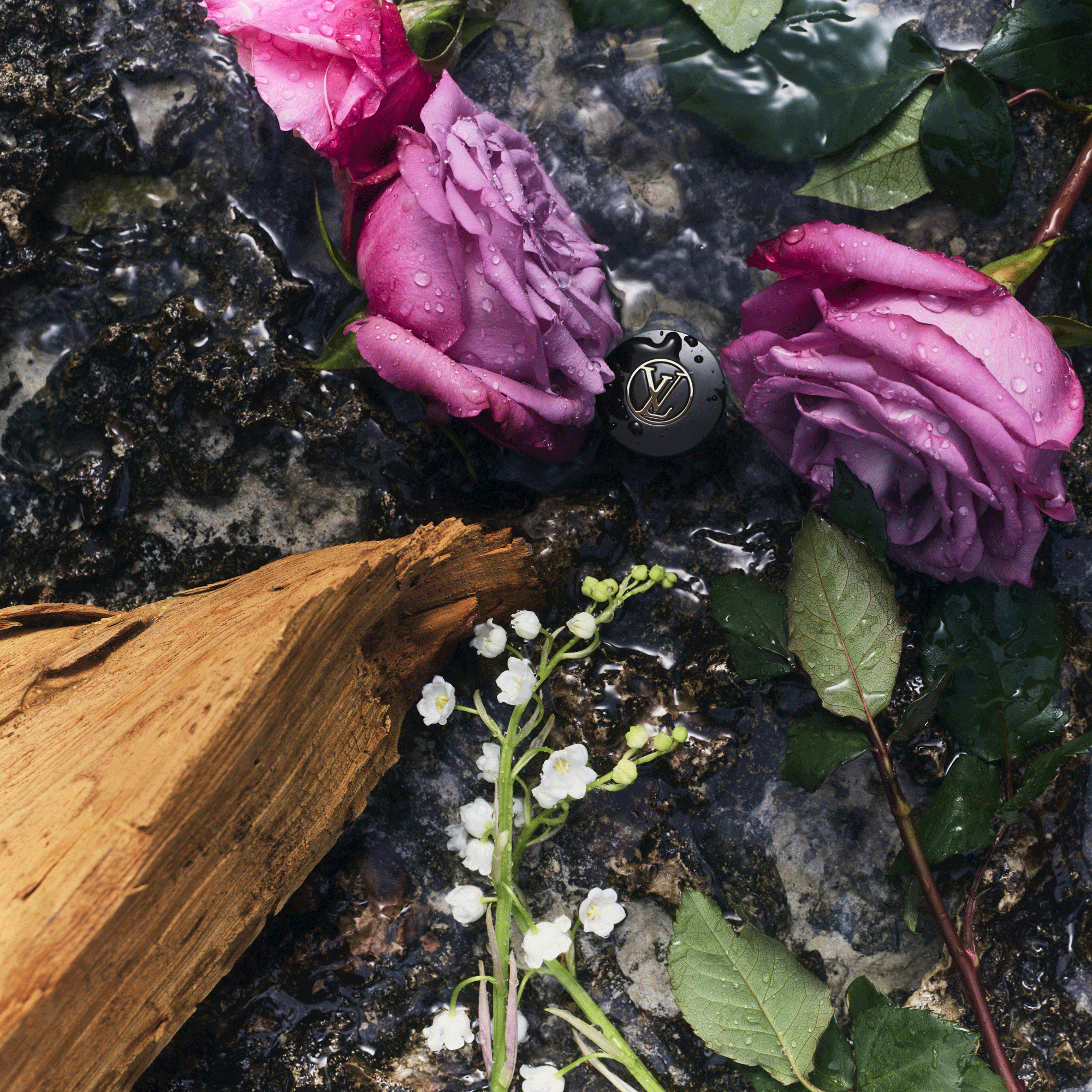 Parfum eLVes Louis Vuitton  Parfums et Beauté Tous les parfums } | LOUIS VUITTON (Zoom produit)