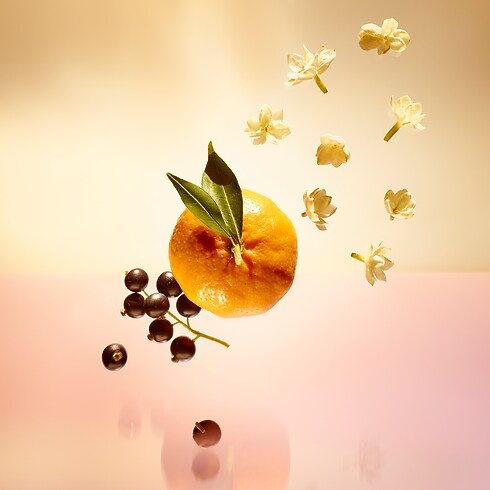 Parfum Le Jour Se Lève Parfums et Beauté Les cadeaux parfums } | LOUIS VUITTON (Zoom produit)