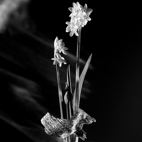 Parfum Matière Noire Parfums et Beauté Collections Parfums féminins | LOUIS VUITTON (Zoom produit)