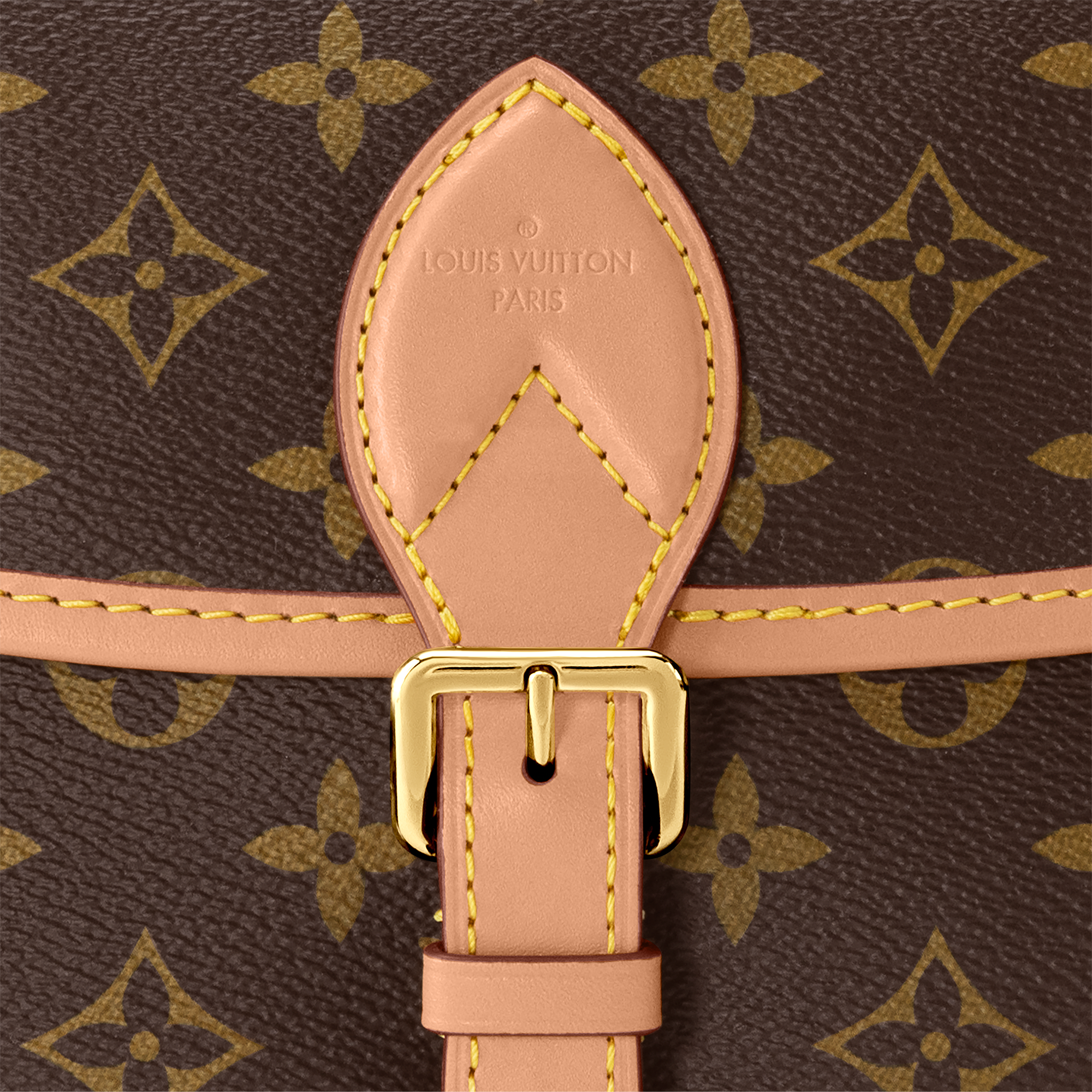 Sac Diane Toile Monogram Femme Sacs à main Sacs à main | LOUIS VUITTON (Zoom produit)