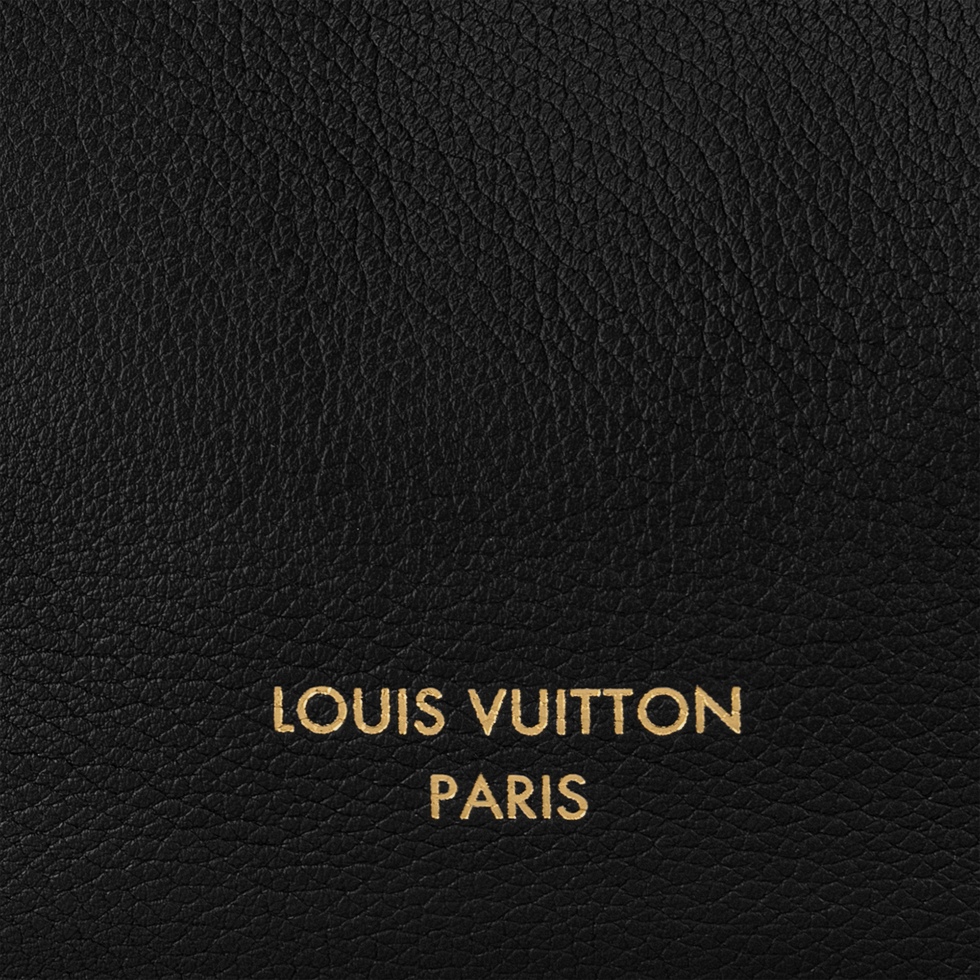 Sac Low Key Hobo MM Low Key Femme Sacs à main Sacs à main | LOUIS VUITTON (Zoom produit)